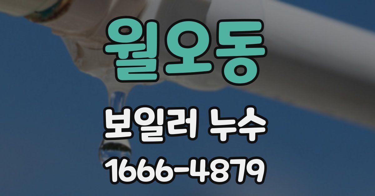 월오동 보일러 누수