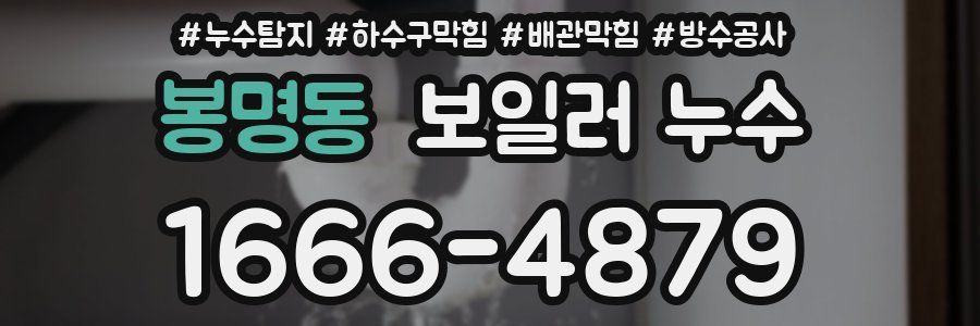 봉명동 보일러 누수
