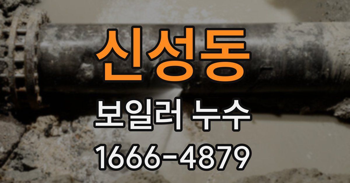 신성동 보일러 누수