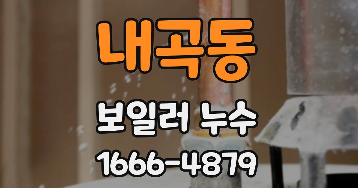 내곡동 보일러 누수