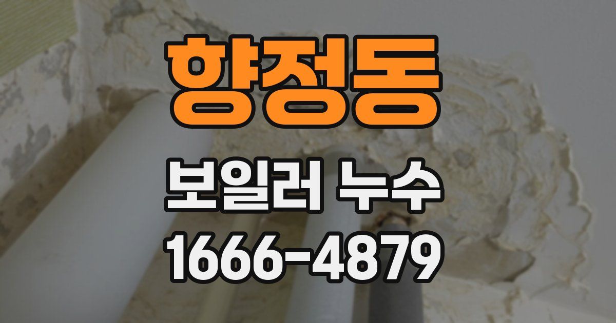 향정동 보일러 누수