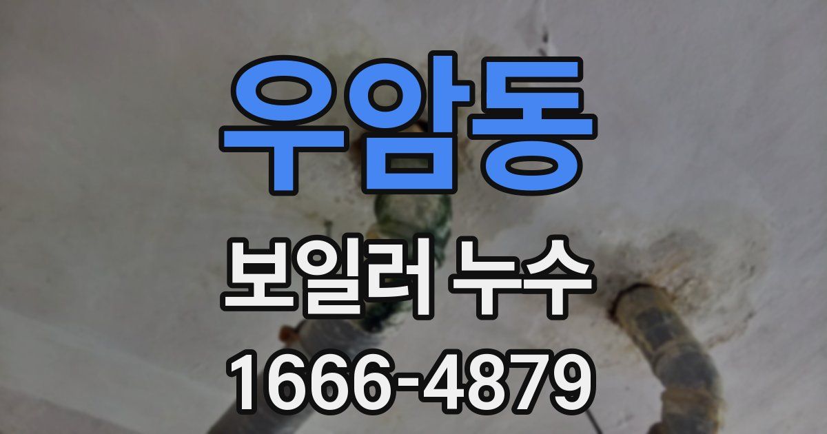 우암동 보일러 누수
