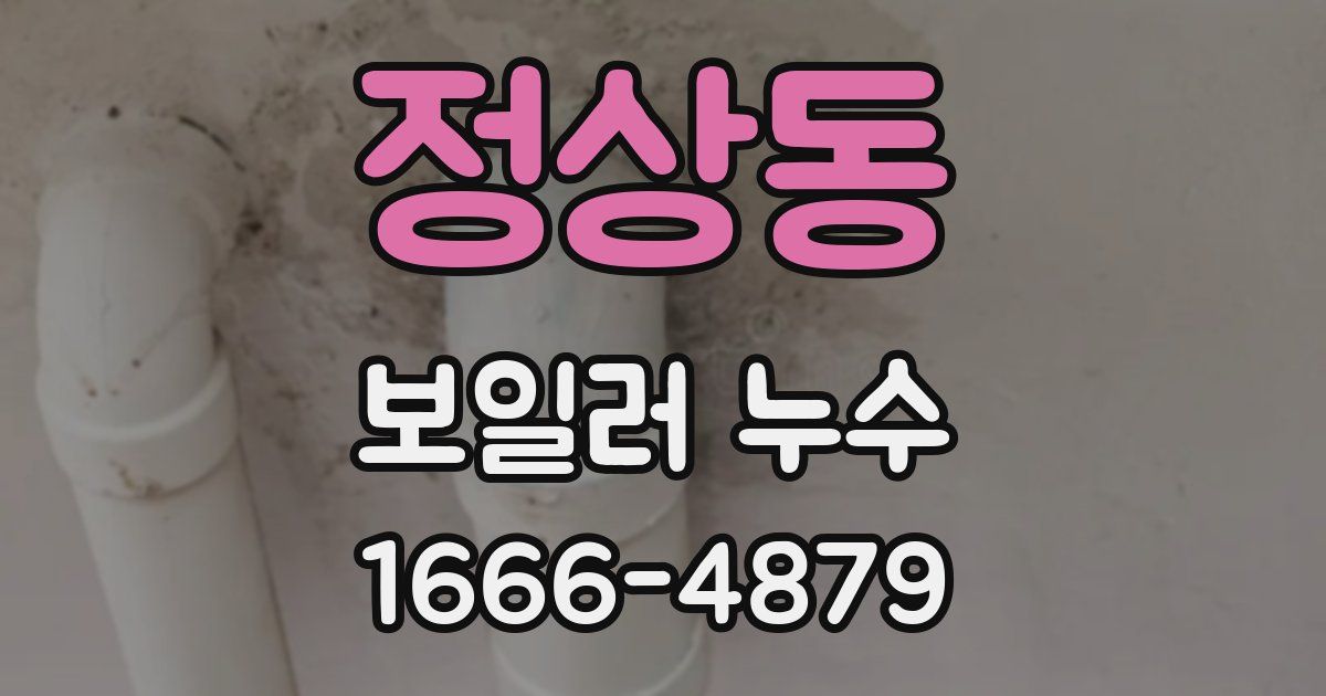 정상동 보일러 누수