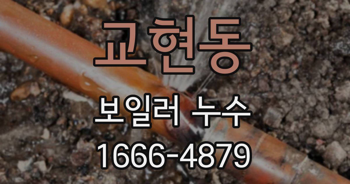 교현동 보일러 누수