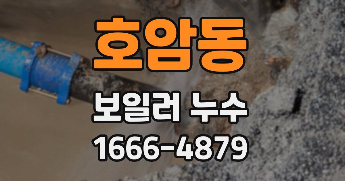 호암동 보일러 누수