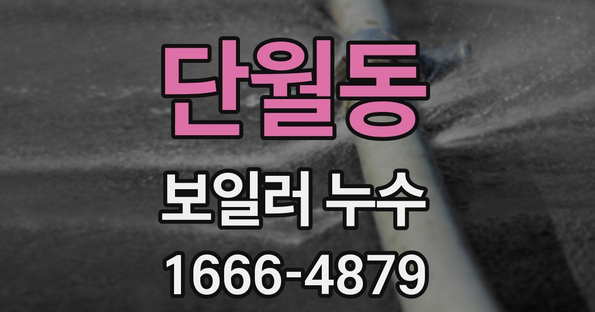 단월동 보일러 누수
