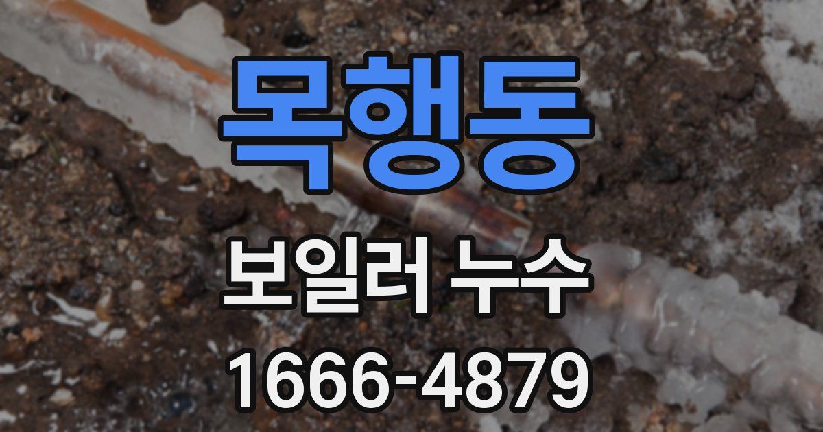 목행동 보일러 누수
