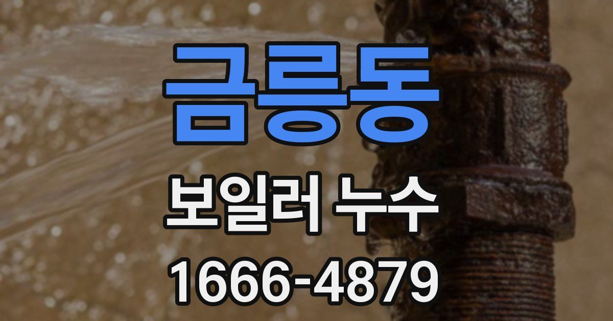 금릉동 보일러 누수