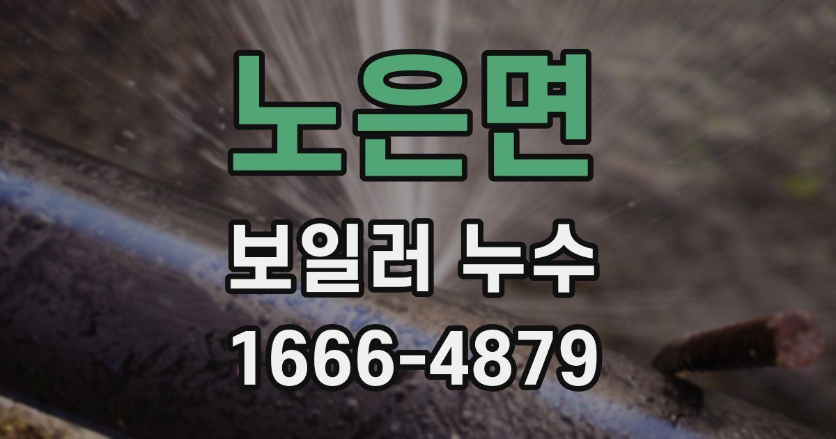 노은면 보일러 누수