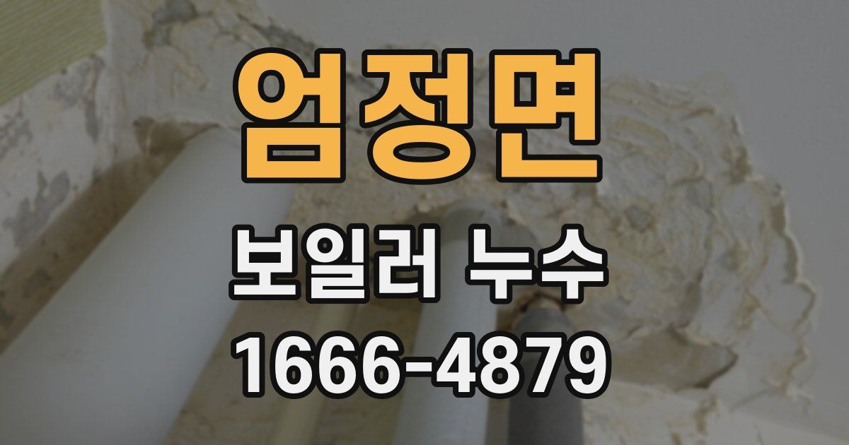 엄정면 보일러 누수