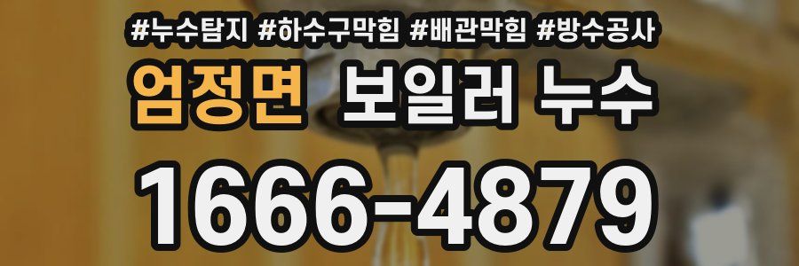 엄정면 보일러 누수
