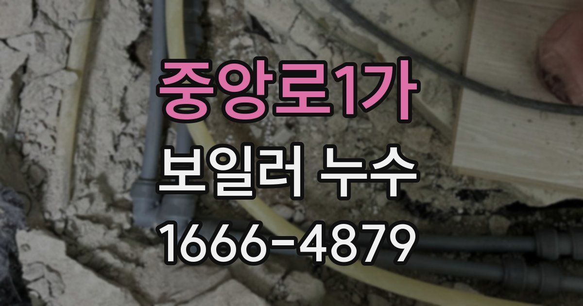 중앙로1가 보일러 누수