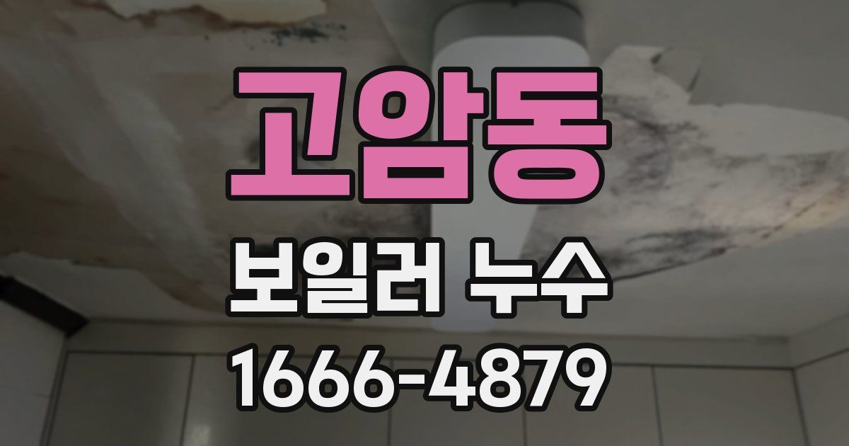 고암동 보일러 누수