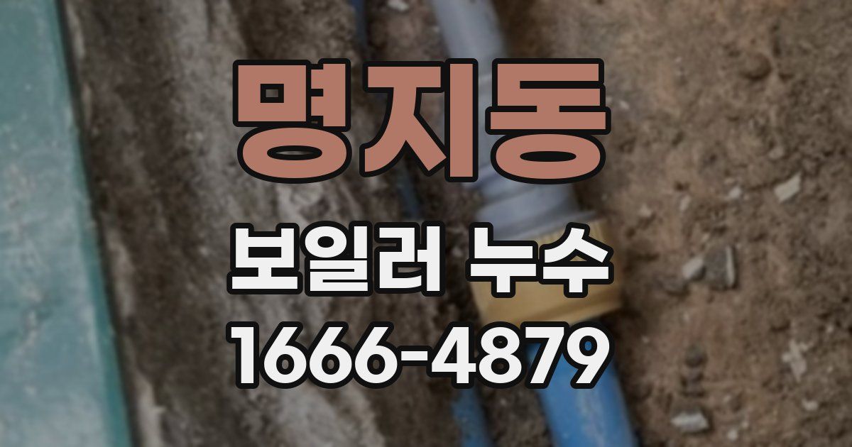 명지동 보일러 누수