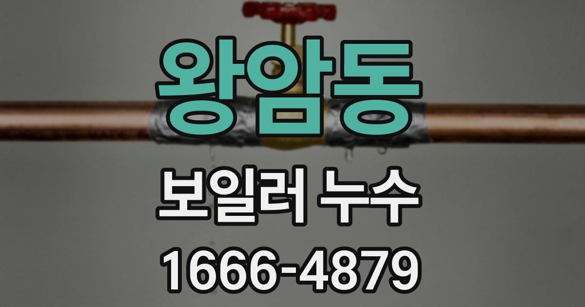 왕암동 보일러 누수