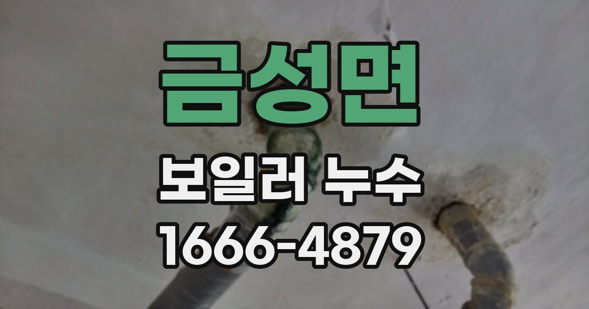 금성면 보일러 누수