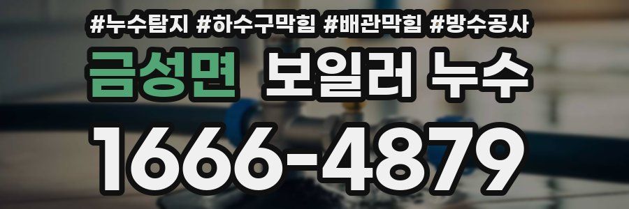 금성면 보일러 누수