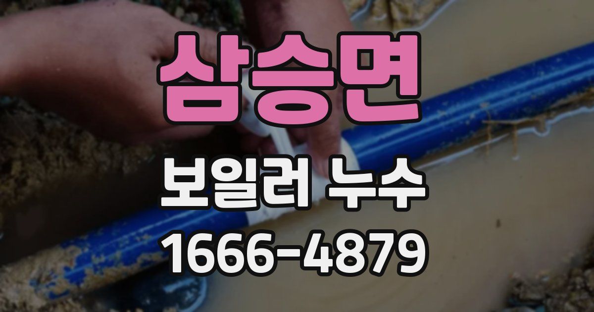 삼승면 보일러 누수