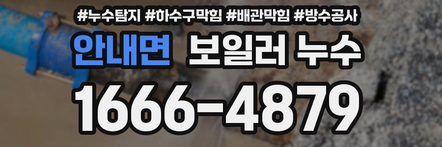 안내면 보일러 누수