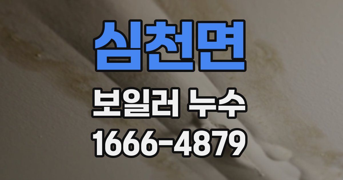 심천면 보일러 누수