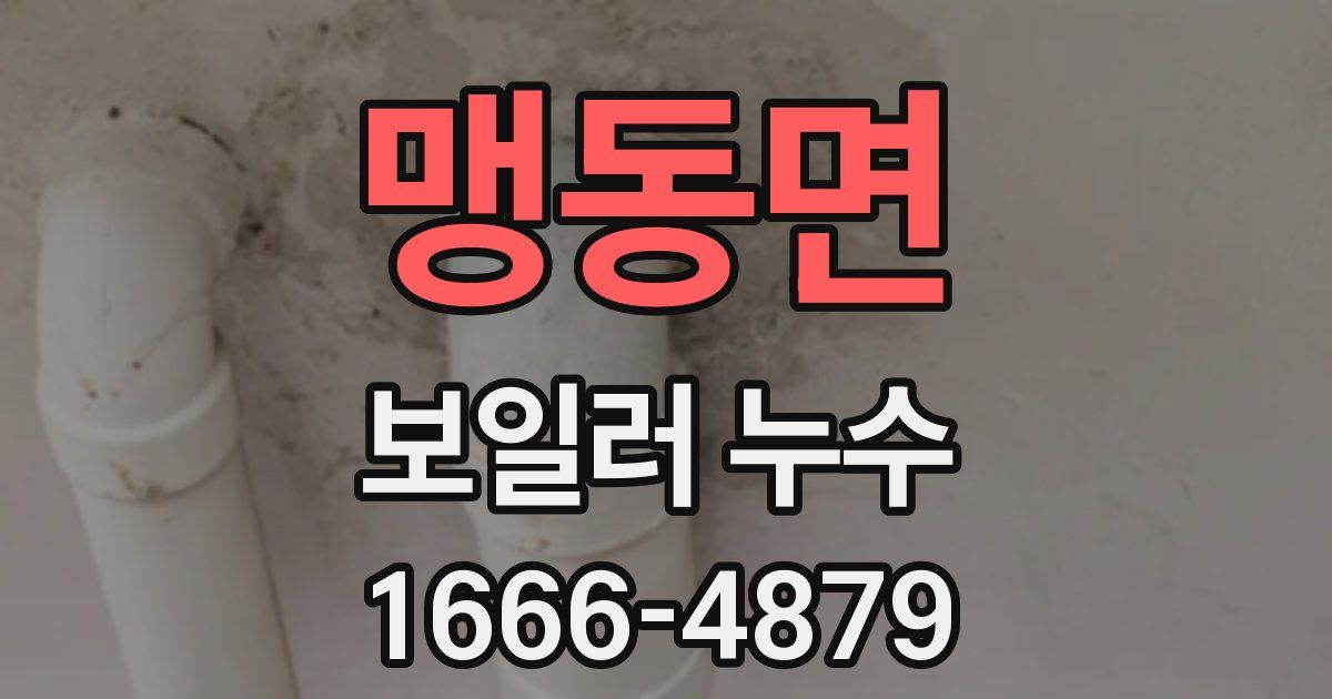 맹동면 보일러 누수