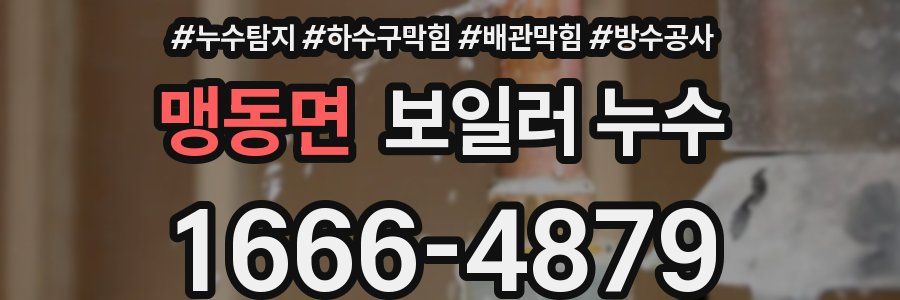 맹동면 보일러 누수