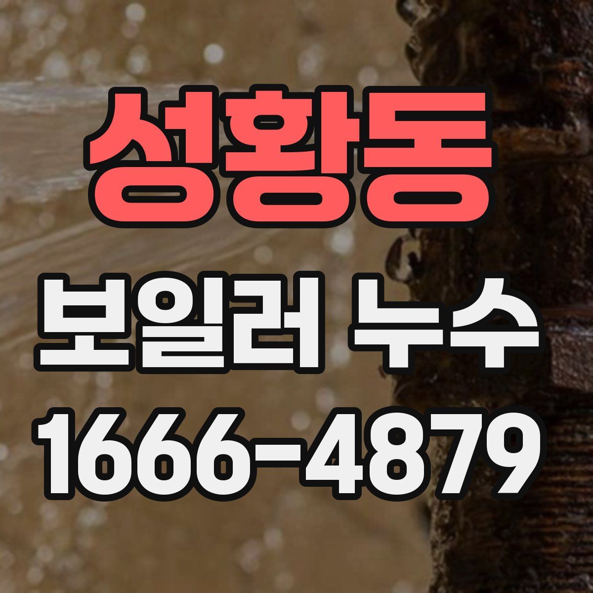 성황동 보일러 누수