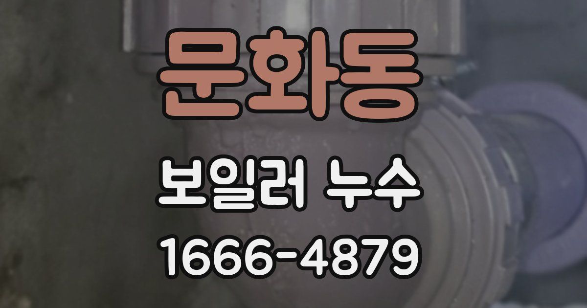 문화동 보일러 누수
