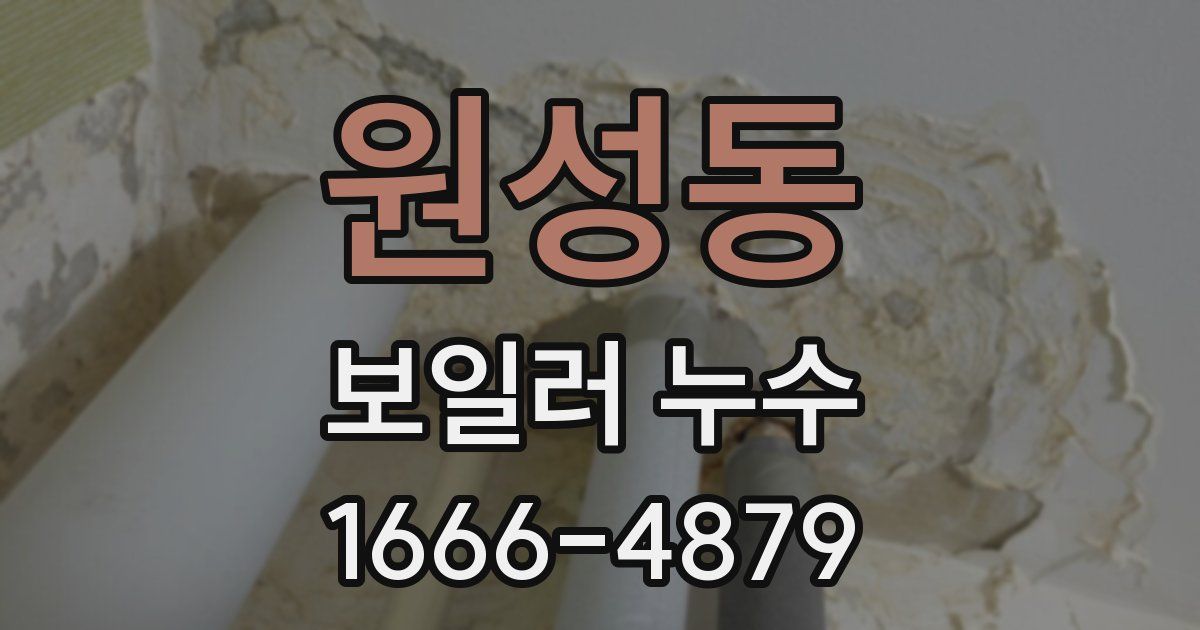 원성동 보일러 누수