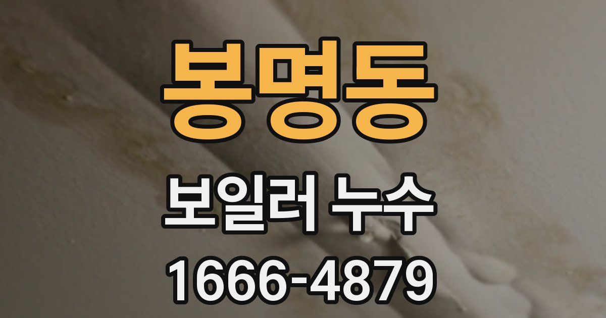 봉명동 보일러 누수