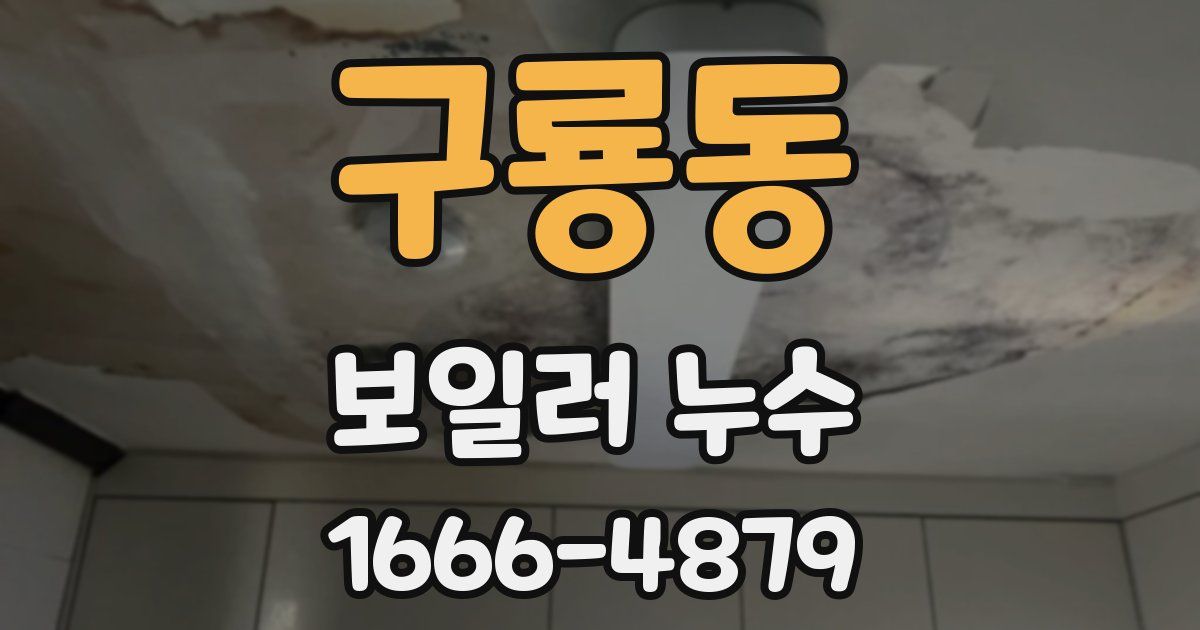구룡동 보일러 누수