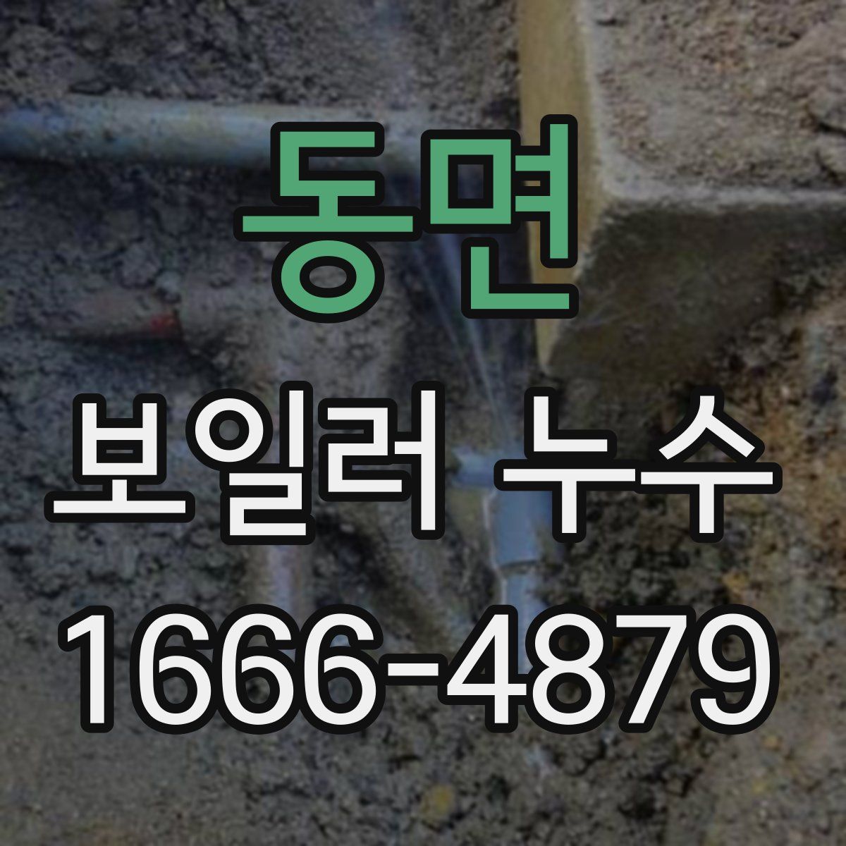 동면 보일러 누수