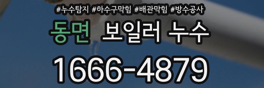 동면 보일러 누수