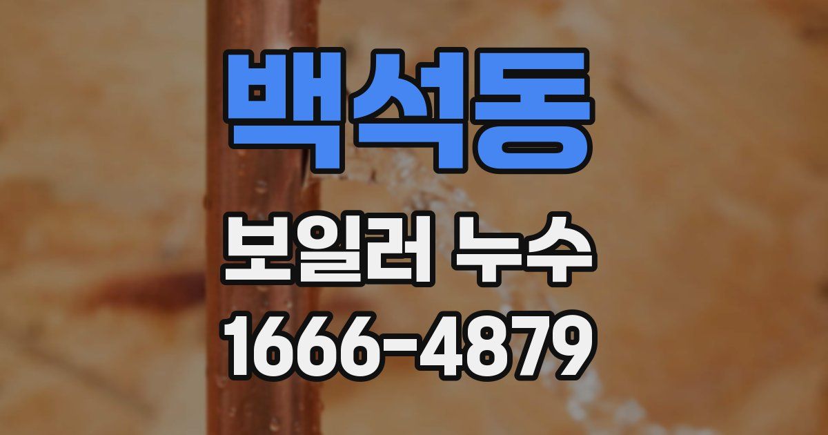 백석동 보일러 누수