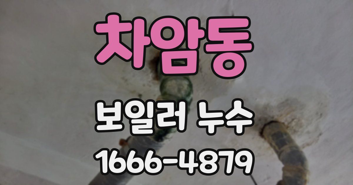 차암동 보일러 누수