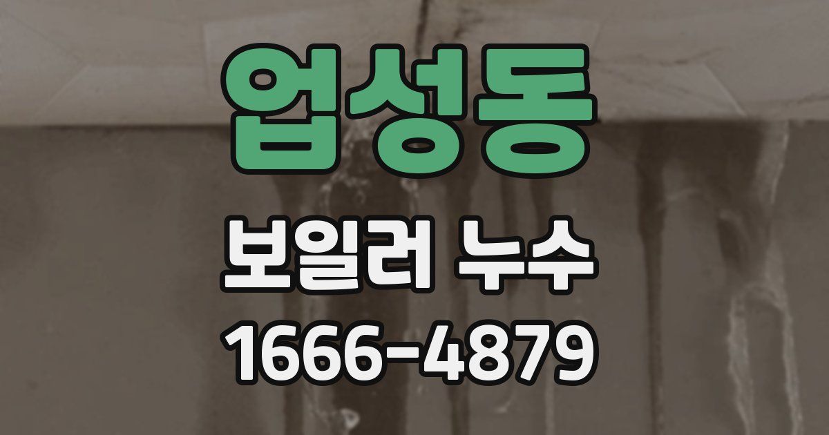 업성동 보일러 누수