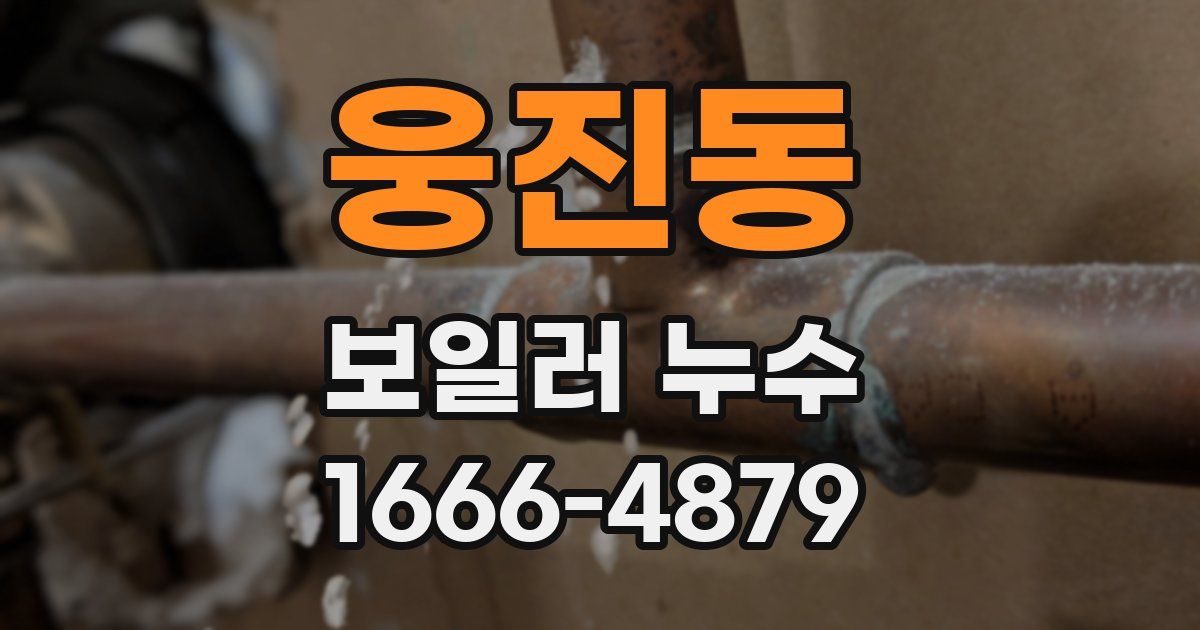 웅진동 보일러 누수