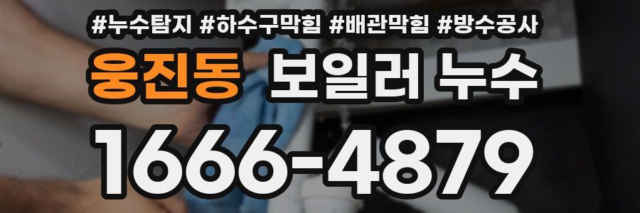 웅진동 보일러 누수