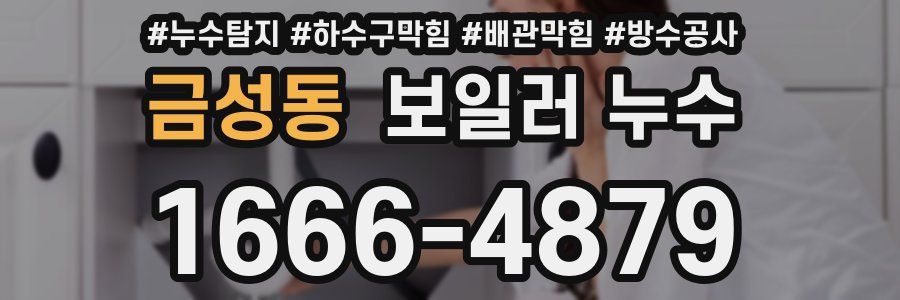 금성동 보일러 누수