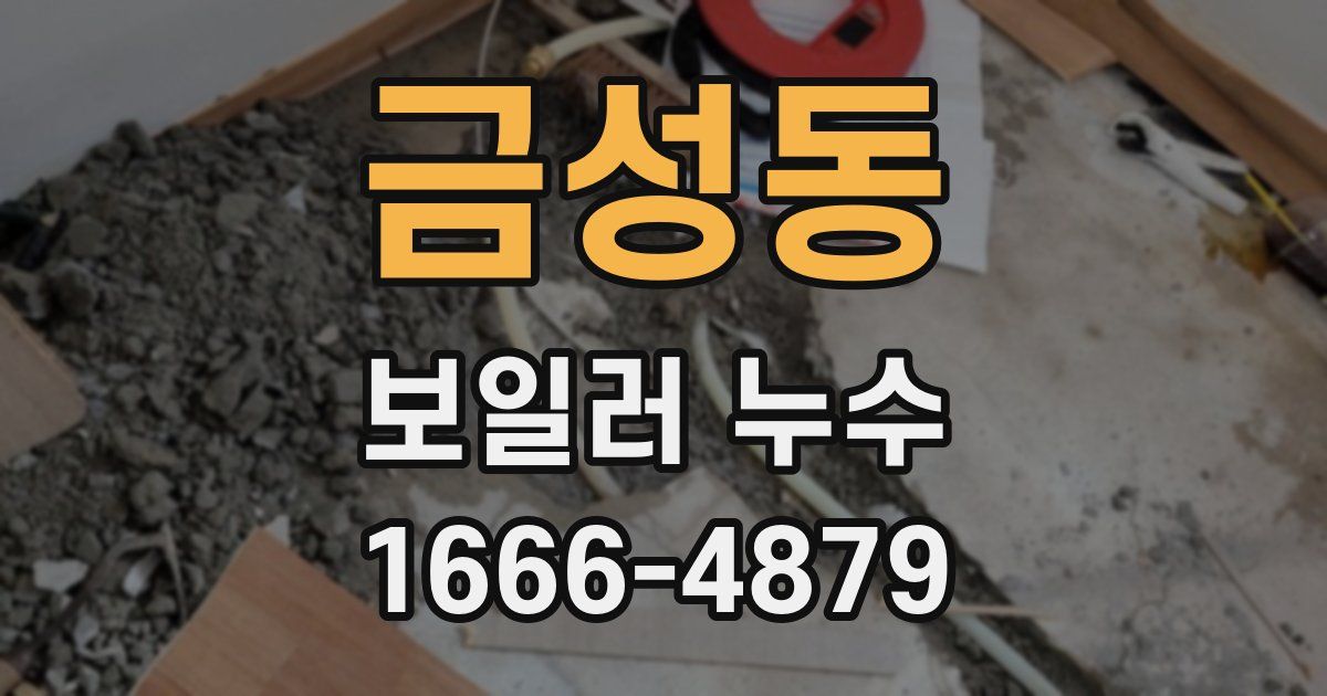 금성동 보일러 누수