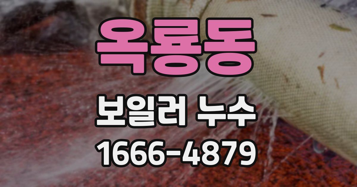 옥룡동 보일러 누수