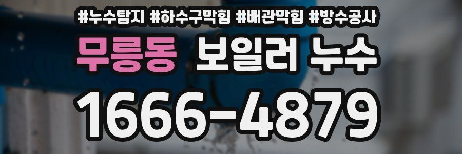 무릉동 보일러 누수