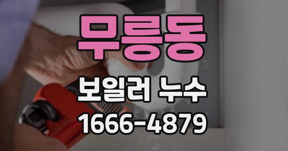 무릉동 보일러 누수
