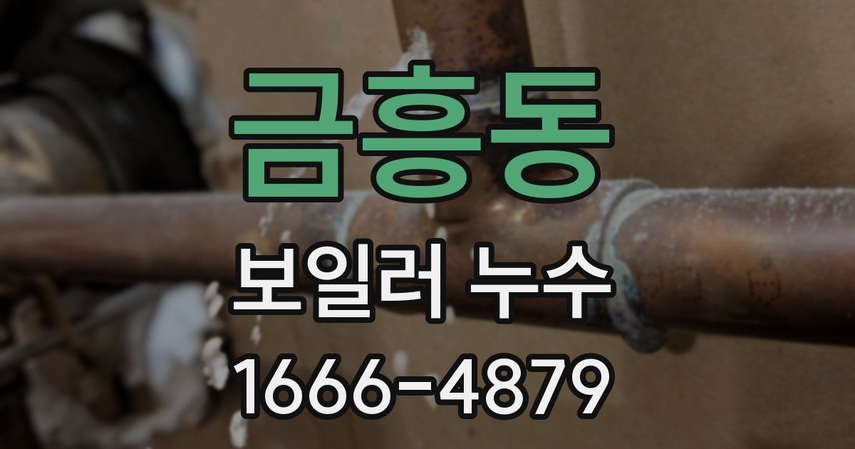 금흥동 보일러 누수