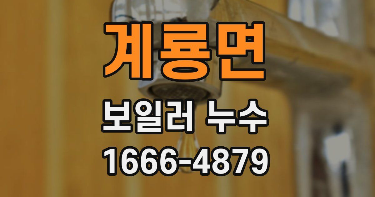 계룡면 보일러 누수