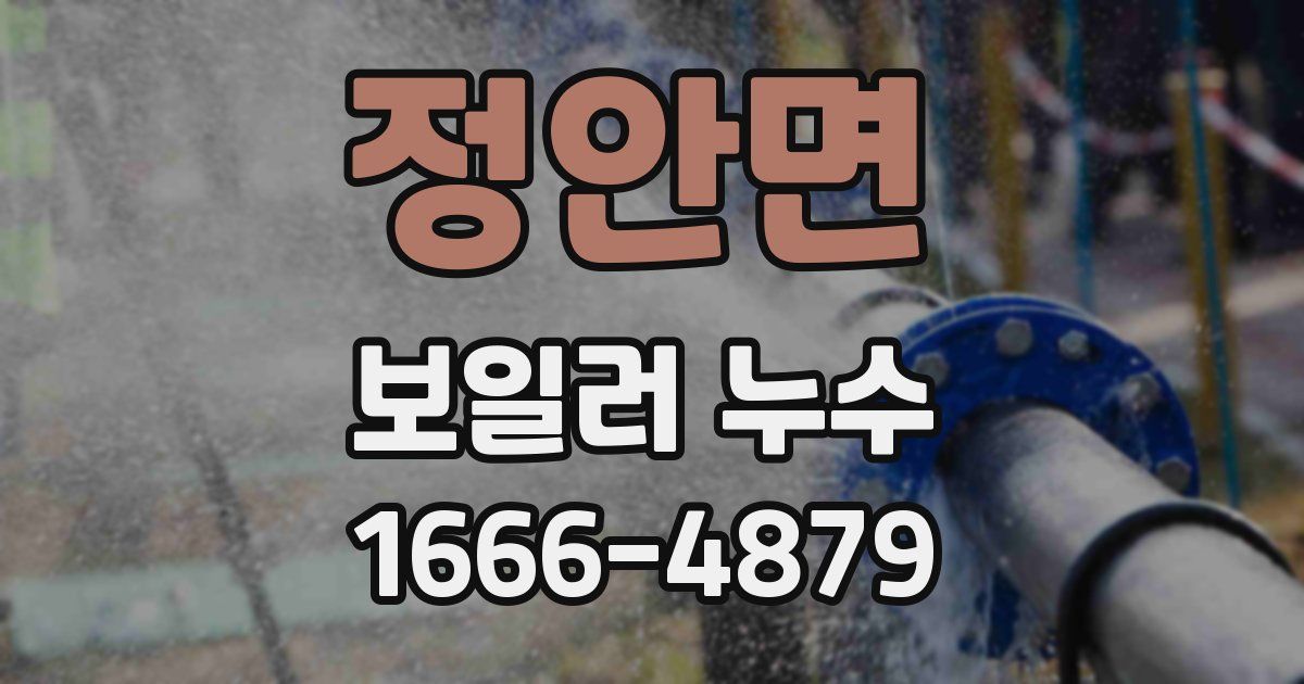 정안면 보일러 누수
