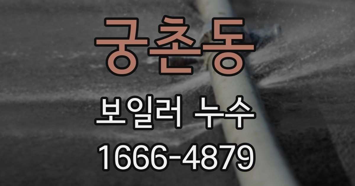 궁촌동 보일러 누수