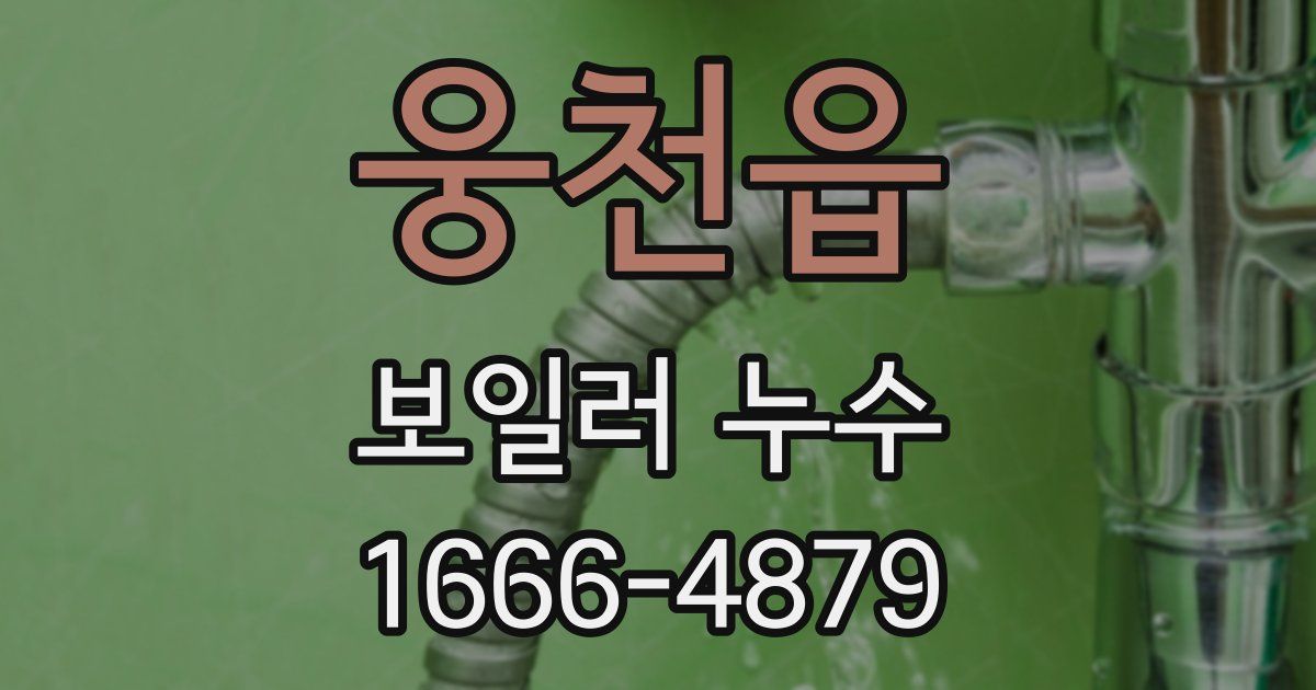 웅천읍 보일러 누수