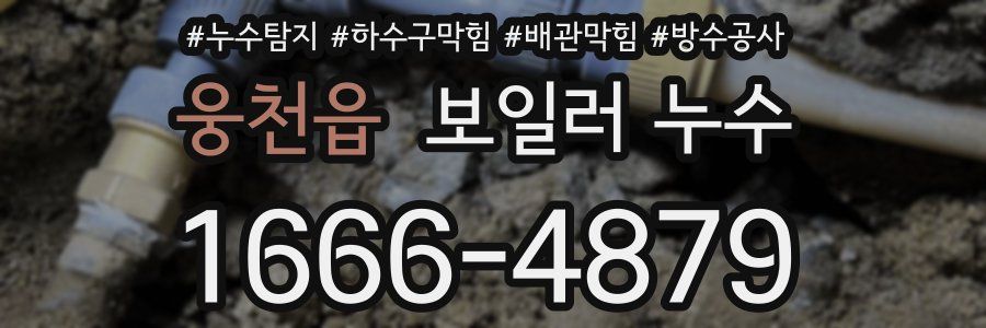 웅천읍 보일러 누수