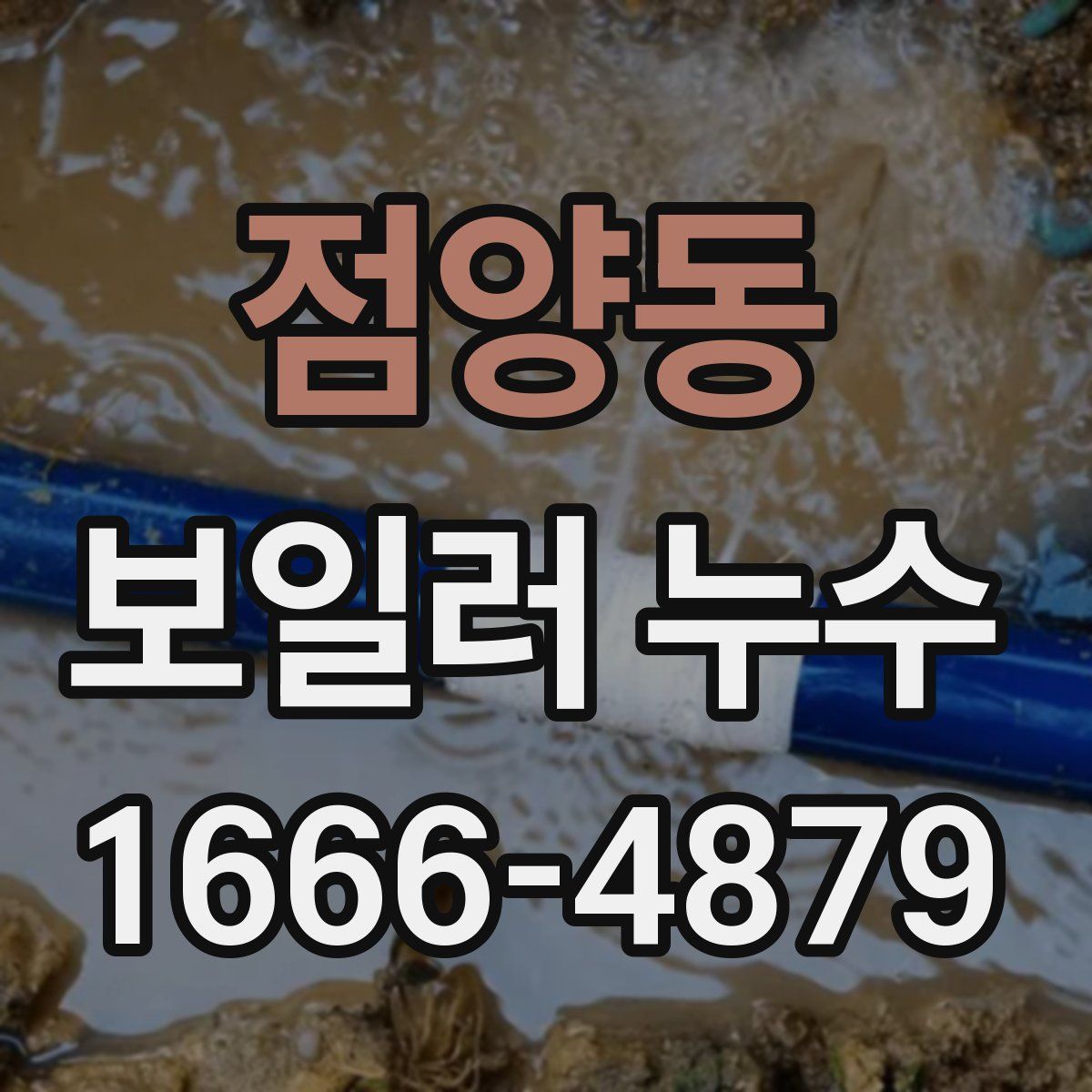 점양동 보일러 누수